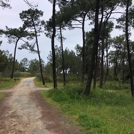 Maison De Pecheur Face A La Du Plan D'eau Dom wakacyjny *